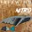 freewing-wing-foil-corse-surf-shop-porto-vecchio-specialiste