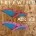 FREEWING V3 WING FOIL SURF SHOP CORSE PORTO VECCHIO