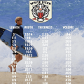pyzel-wild-tiger-surf-shop-corse-surfboard-specialiste